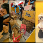 Featured image Puppy Cuddles Dog Café pictures