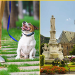 Italian City Bolzano to Introduce Daily Tax for Dogs Visiting With Owners