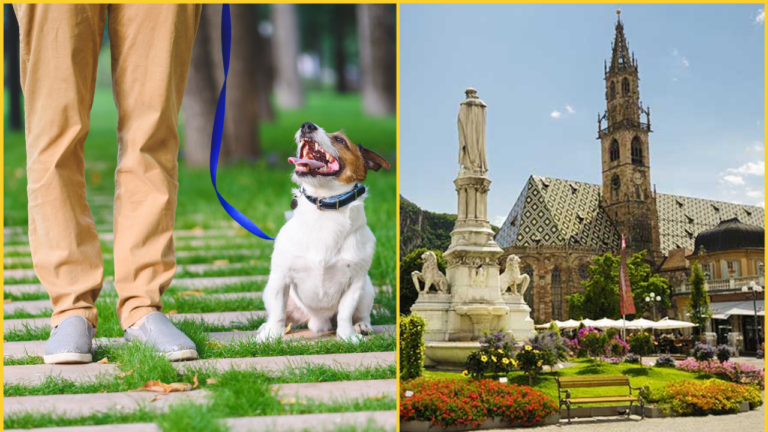 Italian City Bolzano to Introduce Daily Tax for Dogs Visiting With Owners