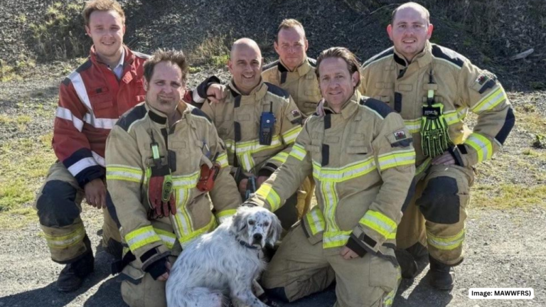 Powys Firefighters Rescue Dog Stuck in Crychan Forest