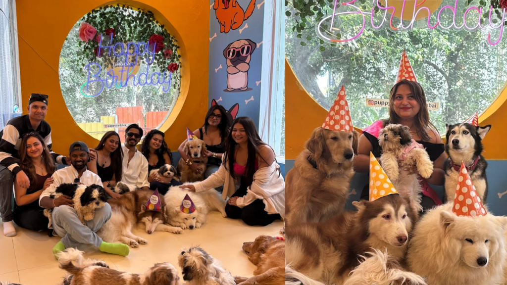 celebrate birthday at Puppy Cuddles Dog Café pictures