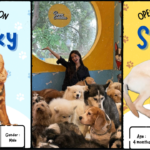 Puppy Cuddles Dog Café Adoption Where Love Finds a Home