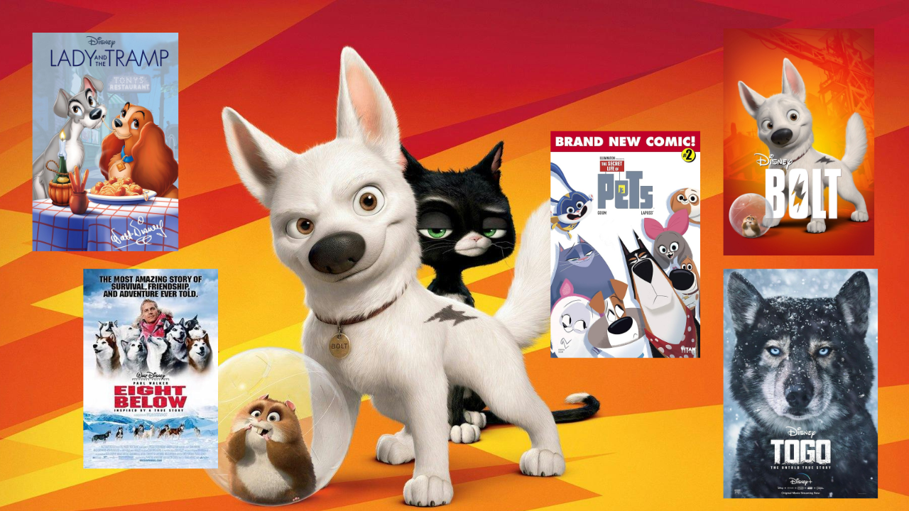 Best Dog Movies on JioHotstar You Should Not Miss This Christmas